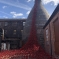 Poppies: Weeping Window