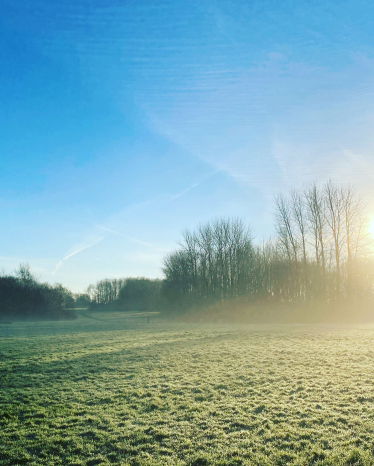 Meir Park greenspace